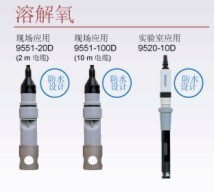 HORIBA �ܽ����缫/DO�缫ģ��